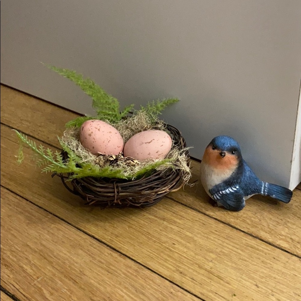 Bird and Bird Nest decor